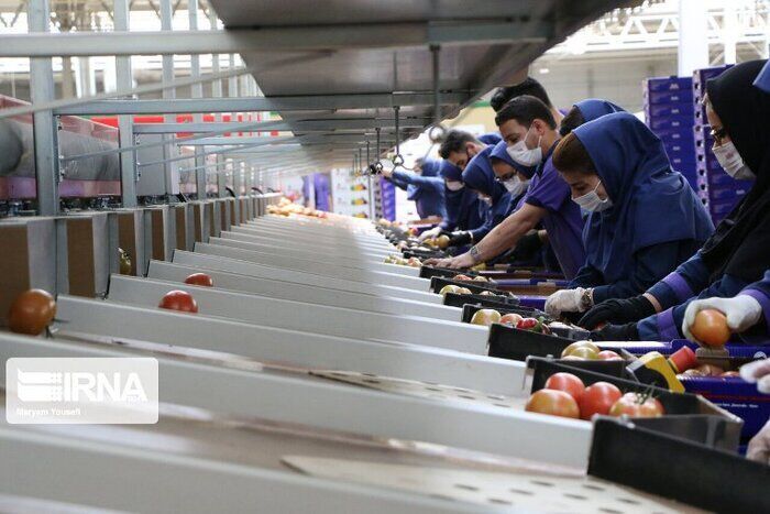 افزایش ۸۳ درصدی تعاونی های صادراتی گیلان در دولت سیزدهم