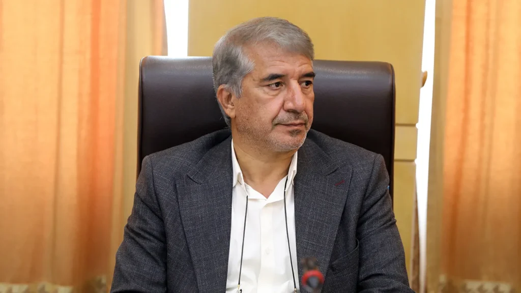 انارکی محمدی ممنوعیت واردات لوازم خانگی به گرانی و قاچاق دامن زده است