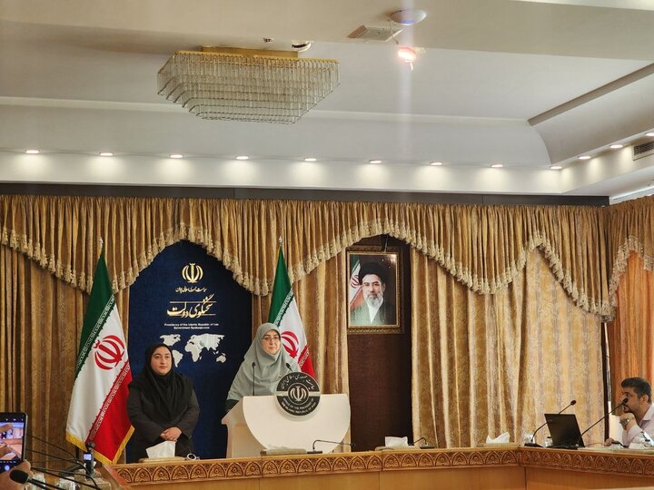 سخنگوی دولت تمام درآمد بنزین صرف معیشت مردم می شود