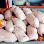 مدیرعامل اتحادیه مرغداران هر کیلو مرغ ۱۸۰ تا ۲۰۰ هزار تومان عرضه می شود