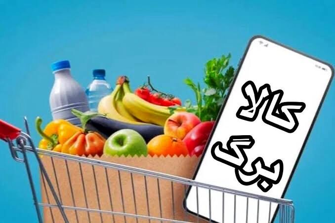 وزیر اقتصاد برای افزایش کالابرگ خودرو و ملک نداشته باشید