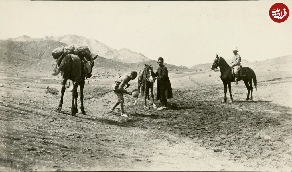 افسران