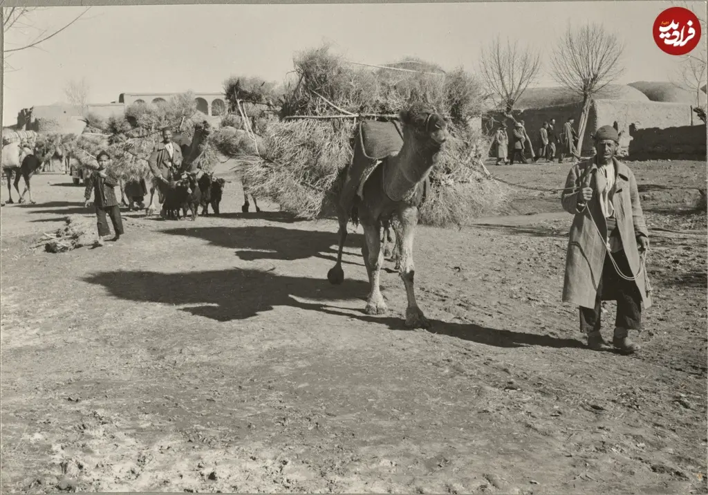 روتای البرز