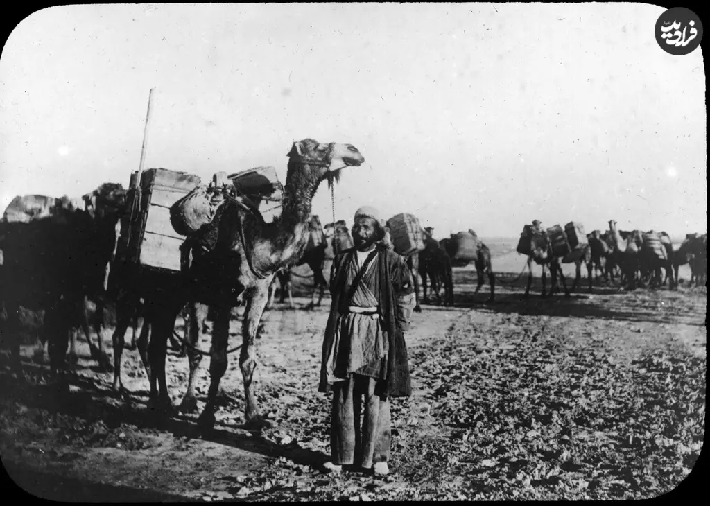 ساربان