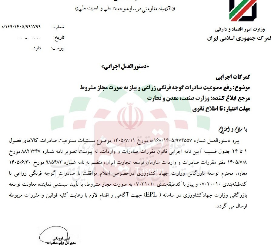 گوجه و پیاز راهی بازارهای خارجی شدند / موج تازه گرانی در راه است؟ + سند