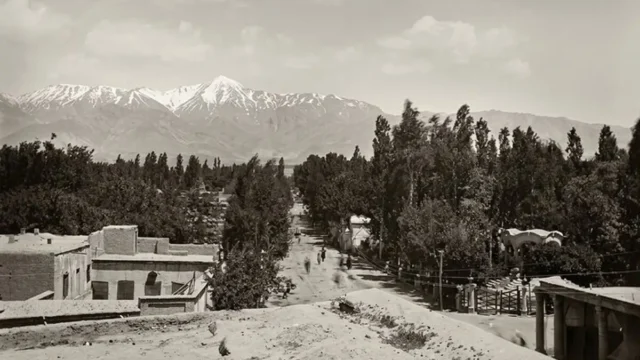 40