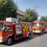 آتش سوزی چند درخت در حوالی ورزشگاه انقلاب آتش نشانی بی احتیاطی کارگران ساختمانی سبب آتش سوزی شد