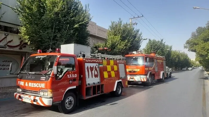آتش سوزی چند درخت در حوالی ورزشگاه انقلاب آتش نشانی بی احتیاطی کارگران ساختمانی سبب آتش سوزی شد