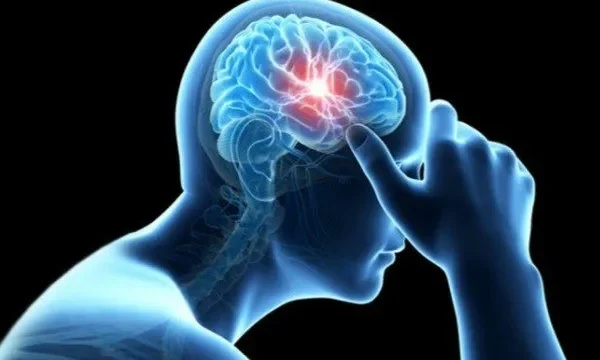 افزایش خطر سکته مغزی با مصرف غذا های فوق فرآوری شده