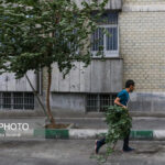 افزایش سرعت وزش باد در تهران از بعد از ظهر سه شنبه