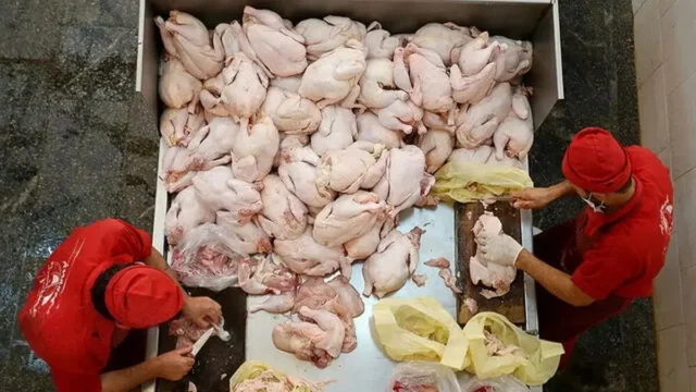 افزایش کمرشکن قیمت مرغ به ۴۵۰ هزار تومان در خرده فروشی ها