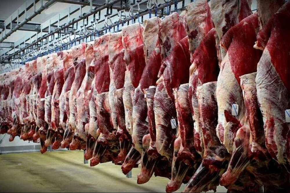 بازار گوشت قرمز ۶ آبان ۱۴۰۵ نوسان ها به ثبات رسیدند