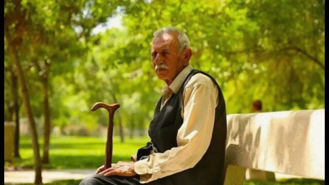 بازنشستگان