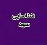 بانک شهر سود ۱۰۰۰ میلیارد تومانی از واگذاری پروژه پونک شناسایی کرد