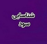 بانک شهر سود ۱۰۰۰ میلیارد تومانی از واگذاری پروژه پونک شناسایی کرد
