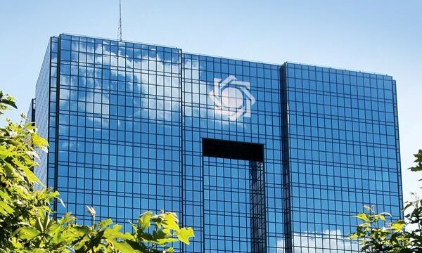 بانک مرکزی دولت مسئول تأمین منابع ارزی برای کالاهای اساسی است