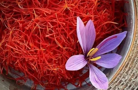 تأکید بر تداوم صادرات زعفران با ۵۰ هزار میلیارد سرمایه گذاری