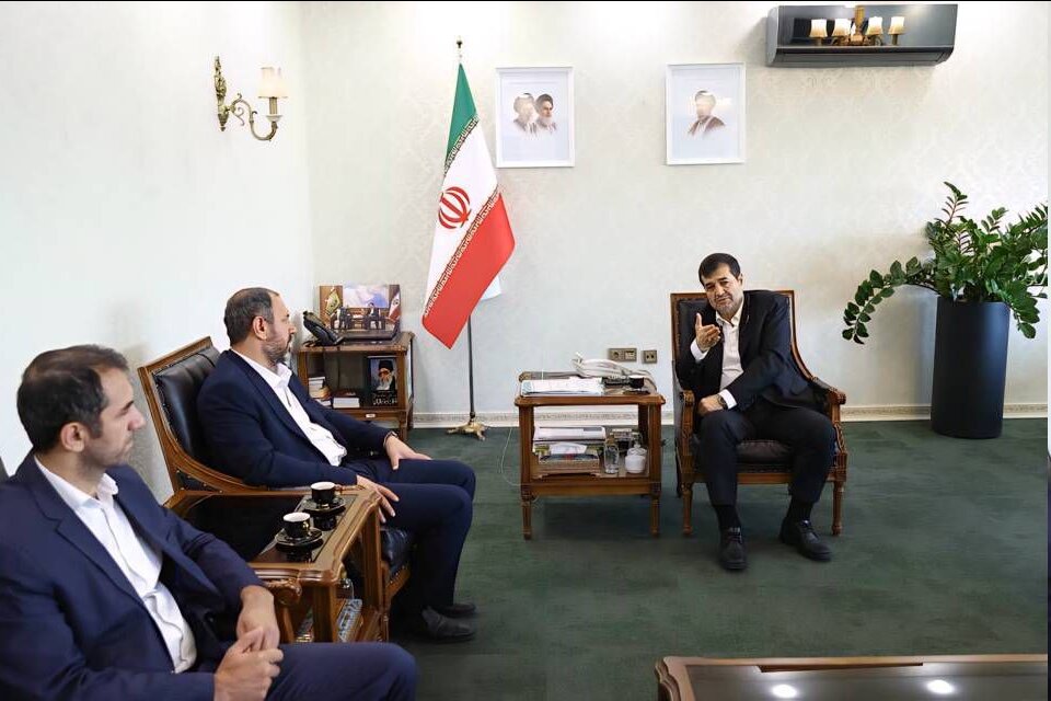 تأکید بر تعامل بیشتر شورای عالی استان ها و وزارت ورزش برای توسعه ورزش در سراسر کشور