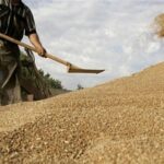 تجارت کشاورزی اوراسیا به ۱۸ میلیارد دلار رسید
