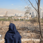 تصاویر درختان چیتگر در جدال آفت و کم آبی