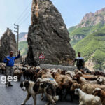 جاده چالوس بطور موقت مسدود می شود