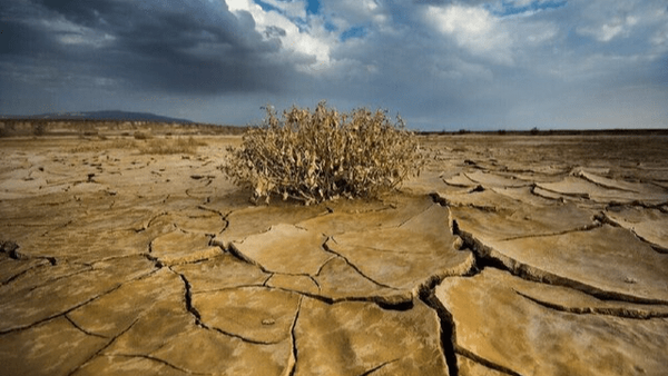 جزئیات تازه از چاه هایی که سهم پریشان را بلعیدند