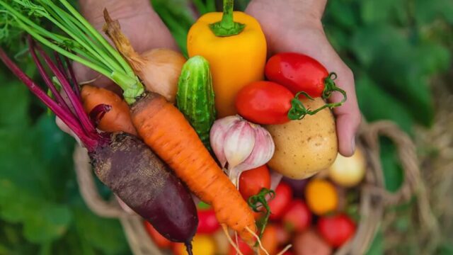 حفاظت از پوست با هویچ فلفل دلمه ای گوجه فرنگی و سبزیجات رنگارنگ