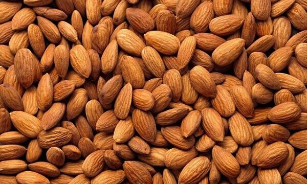 خواص شگفت انگیز مصرف ۷ عدد بادام درای ناشتا برای سلامت جسم و روان
