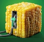 درآمد 789 میلیاردی گسترش سوخت زاگرس با جهش 693 درصدی