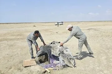 دستگیری ۳ متخلف و تخریب ۲۰ کوخه در هرمزگان