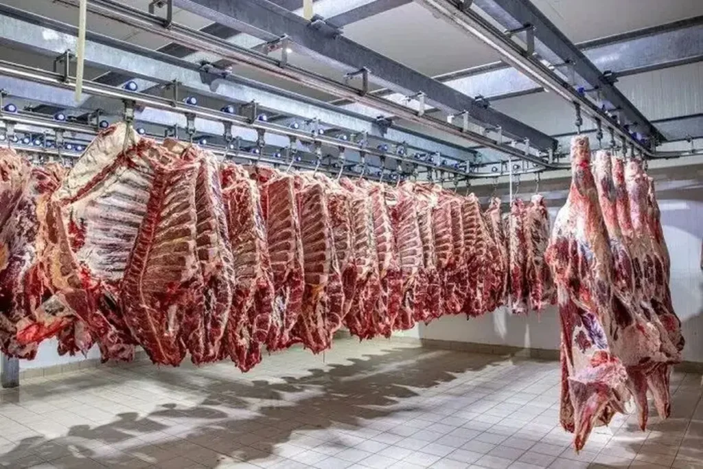 رئیس شورای تامین دام قیمت گوشت با دام زنده همخوانی ندارد