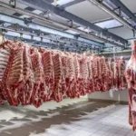 رئیس شورای تامین دام قیمت گوشت با دام زنده همخوانی ندارد