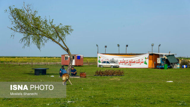 زمین پروژه پتروشیمی میانکاله تعیین تکلیف شد