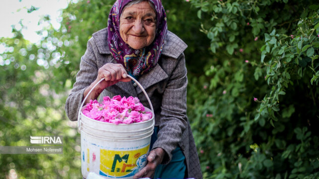 سند اشتغال سالمندان آماده می شود تا به اقتصاد نقره ای بپیوندند