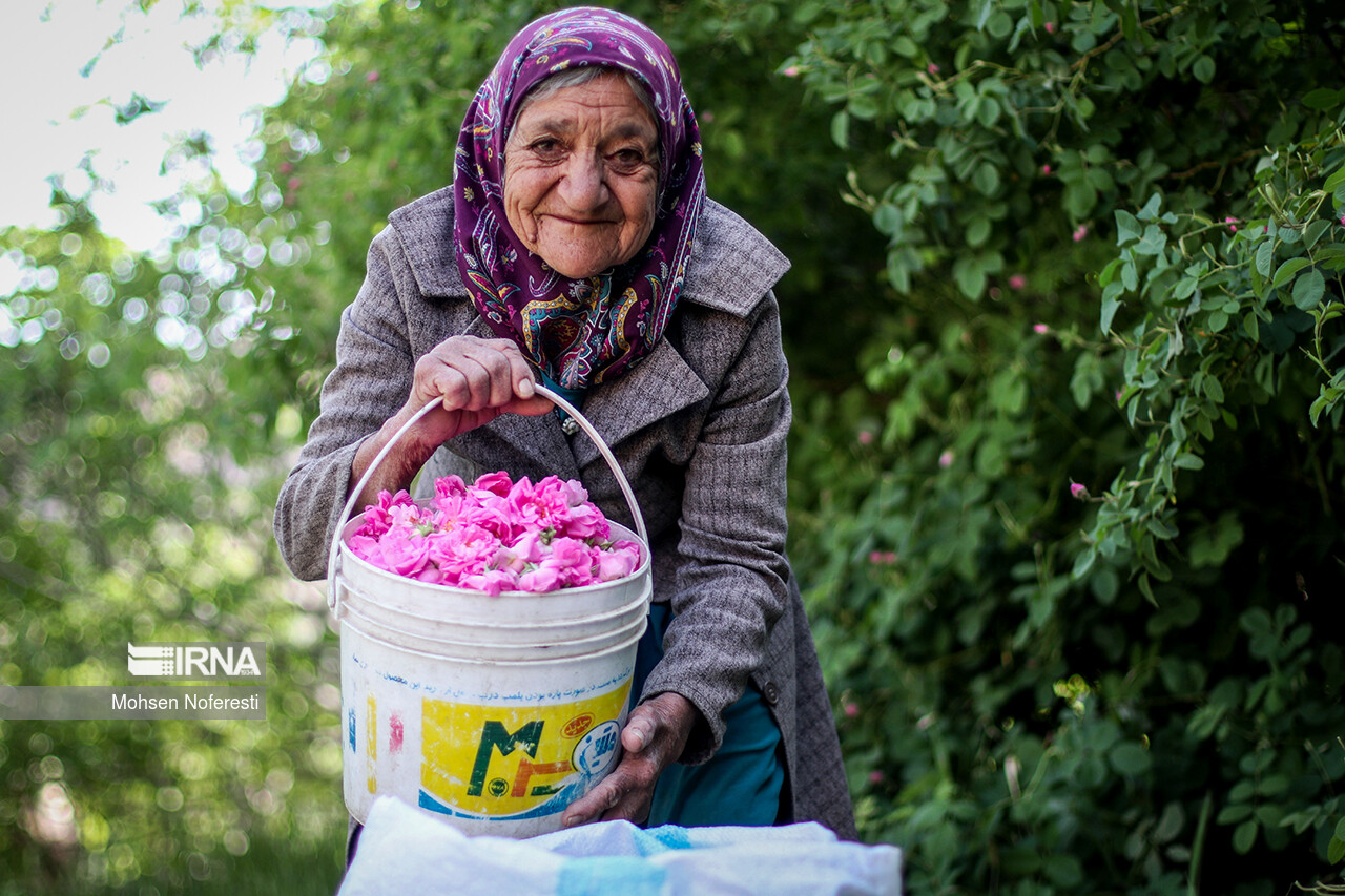 سند اشتغال سالمندان آماده می شود تا به اقتصاد نقره ای بپیوندند