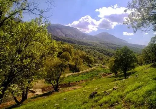 سند مدیریت پایدار جنگل های زاگرس تدوین شد