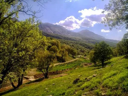 سند مدیریت پایدار جنگل های زاگرس تدوین شد