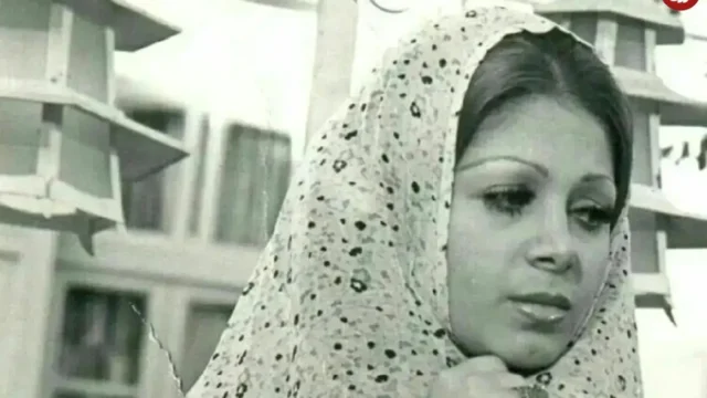 شورانگیز1235