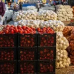 صادرات گوجه و پیاز با مجوز جدید گمرک آغاز شد