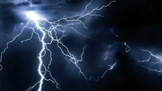 صاعقه در بشاگرد هرمزگان ۶۰ درخت نخل در آتش سوختند