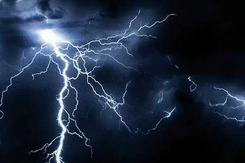 صاعقه در بشاگرد هرمزگان ۶۰ درخت نخل در آتش سوختند