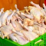 عرضه مرغ بالای ۲ ۲ کیلوگرم به کشتارگاه ها ممنوع شد