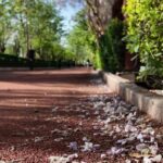 ماجرای آتش سوزی مجموعه ورزشی انقلاب چه بود