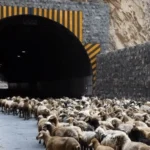 محور کندوان دوشنبه بسته می شود