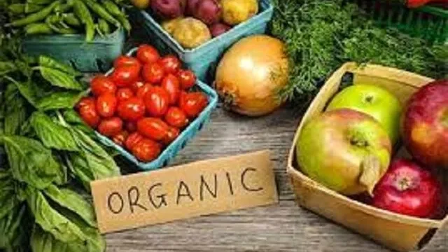 مدیرکل استاندارد زنجان هنوز گواهی محصولات ارگانیک صادر نشده است