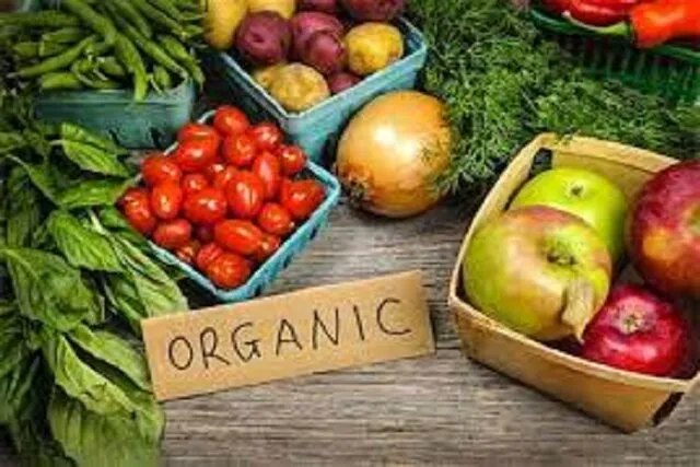 مدیرکل استاندارد زنجان هنوز گواهی محصولات ارگانیک صادر نشده است