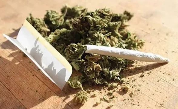 مصرف گل حافظه تمرکز و قدرت قضاوت را مختل می کند برخی از کپسول های لاغری حاوی مخدر شیشه هستند