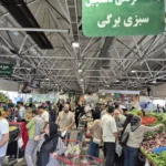 نوسانات قیمت میوه و سبزی در تهران از سیب زمینی ۷۸ هزار تا زنجبیل ۴۲۰ تومان