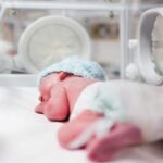 هدف گذاری ۳۳ هزار تولد در چشم روشنی شهرداری
