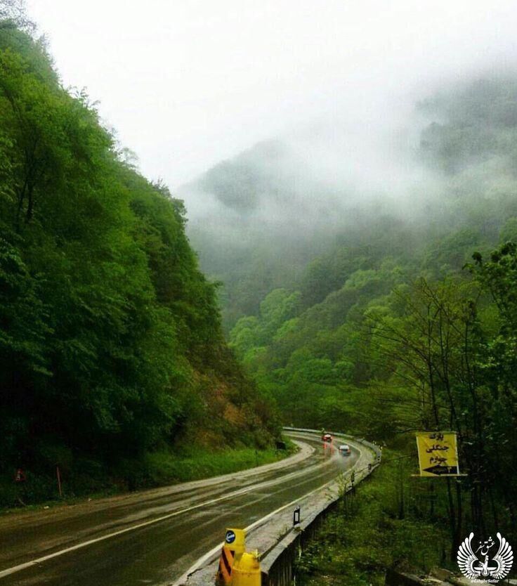 هواشناسی